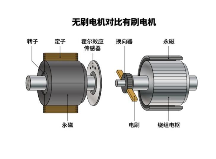 brush motor and the brushless motor