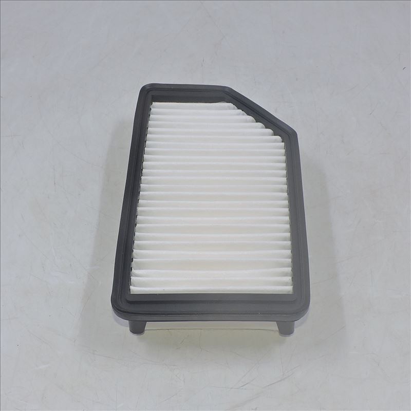 Air Filter 28113-1R100