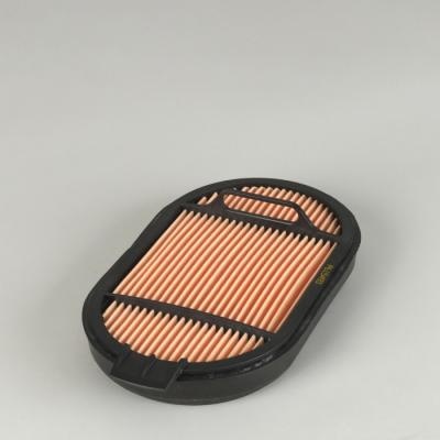 P615493 Air Filter