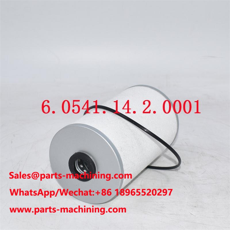 6.0541.14.2.0001 Fuel Filter BF1018/1 Customized